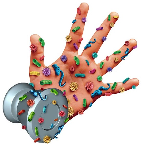 Germs on a high-touch surface, protected by the BioProtect antimicrobial coating